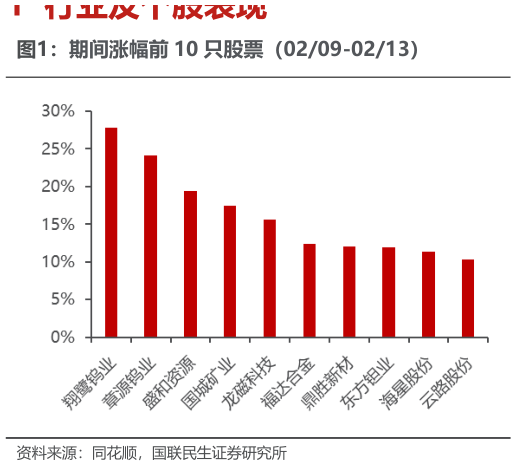 谁知道期间涨幅前 10 只股票（0209-0213）