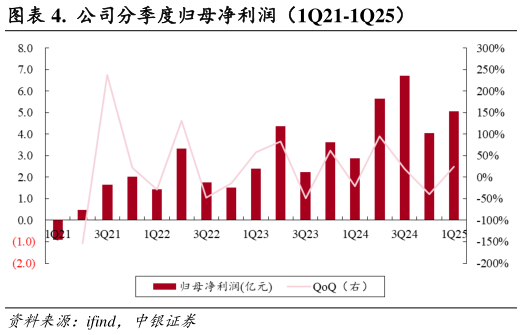 如何了解.  公司分季度归母净利润（1Q21-1Q25）
