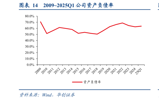 如何了解20092025Q1 公司资产负债率