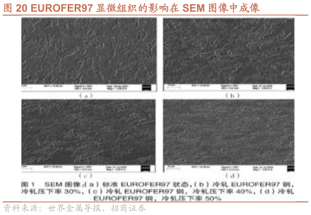 如何解释EUROFER97 显微组织的影响在 SEM 图像中成像图像中成像