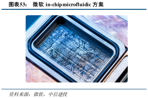 请问一下微软 in-chip microfluidic 方案