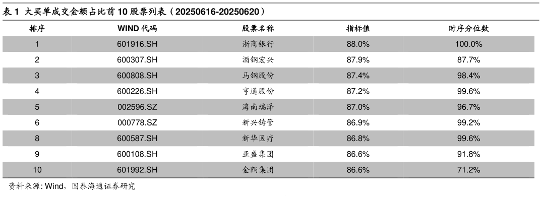 谁知道大买单成交金额占比前 10 股票列表（20250616-20250620）