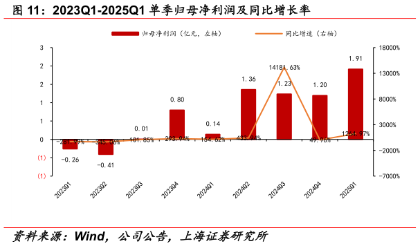 怎样理解2023Q1-2025Q1 单季归母净利润及同比增长率?