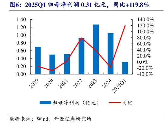 咨询大家2025Q1 归母净利润 0.31 亿元，同比119.8%