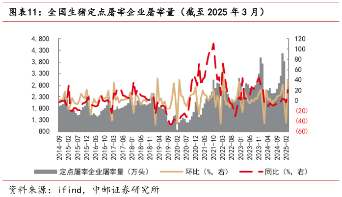 怎样理解全国生猪定点屠宰企业屠宰量(截至 2025 年 3 月)?