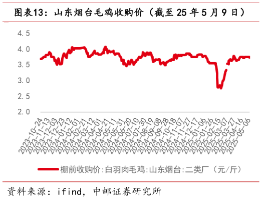 各位网友请教一下山东烟台毛鸡收购价(截至 25 年 5 月 9 日)?