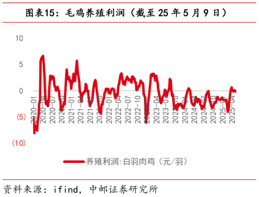 如何解释毛鸡养殖利润(截至 25 年 5 月 9 日)?