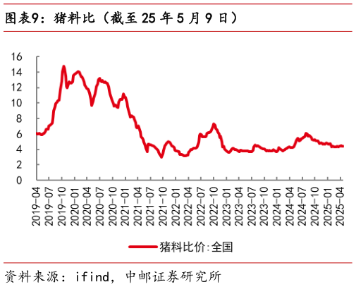 我想了解一下猪料比(截至 25 年 5 月 9 日)?