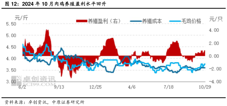 想关注一下2024 年 10 月肉鸡养殖盈利水平回升?