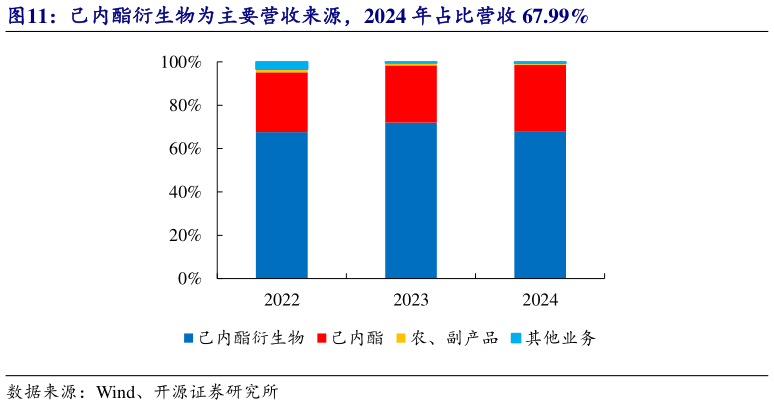 请问一下己内酯衍生物为主要营收来源，2024 年占比营收 67.99%