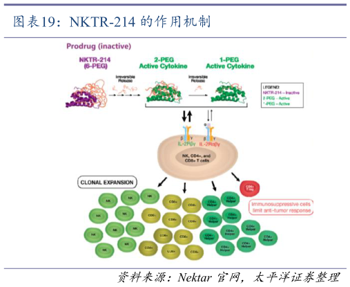想问下各位网友NKTR-214 的作用机制