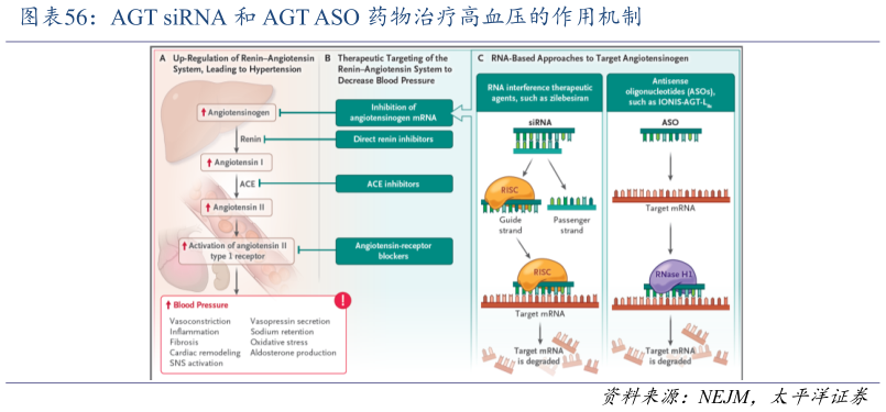请问一下AGT siRNA 和 AGT ASO 药物治疗高血压的作用机制