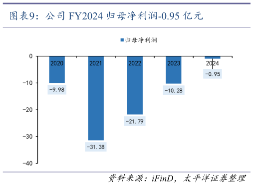 如何了解公司 FY2024 归母净利润-0.95 亿元