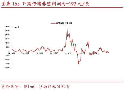 想关注一下外购仔猪养殖利润为-199 元头?