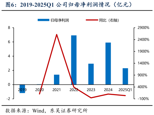 如何解释2019-2025Q1 公司归母净利润情况(亿元)?