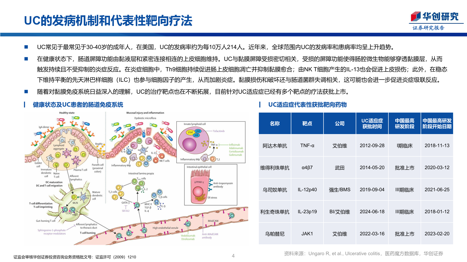 我想了解一下UC的发病机制和代表性靶向疗法