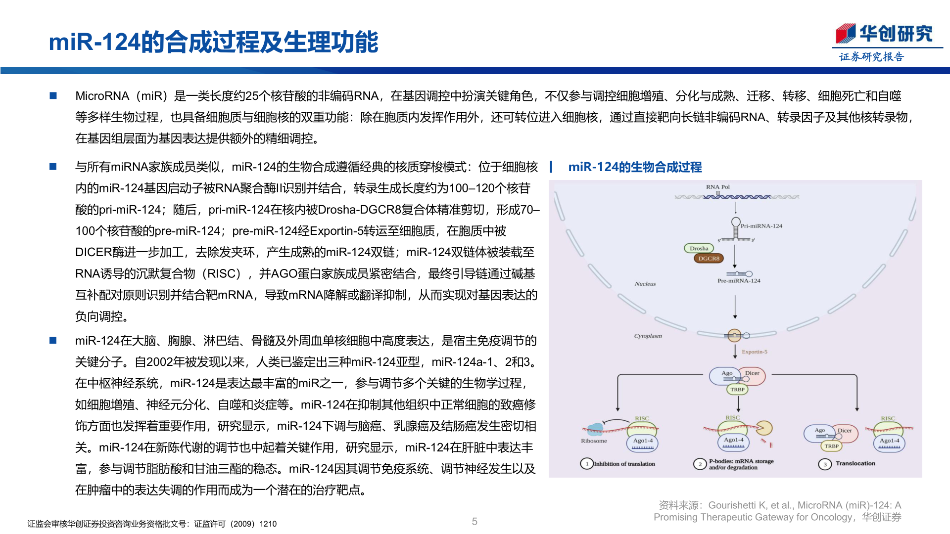 各位网友请教一下miR-124的合成过程及生理功能