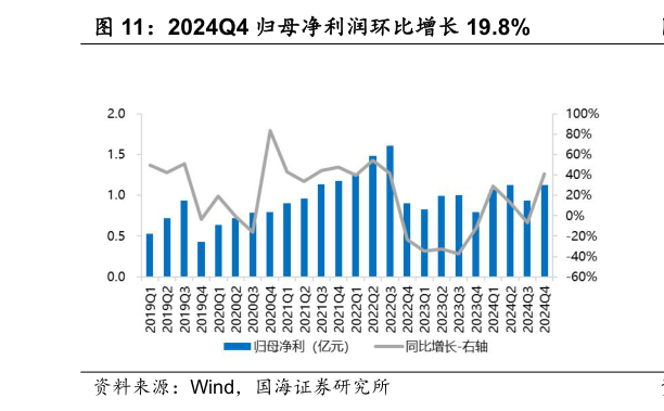 怎样理解2024Q4 归母净利润环比增长 19.8%