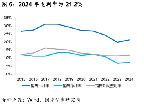 如何解释2024 年毛利率为 21.2%