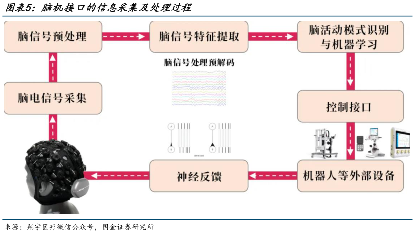 我想了解一下脑机接口的信息采集及处理过程