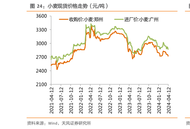 谁知道小麦现货价格走势(元吨)?