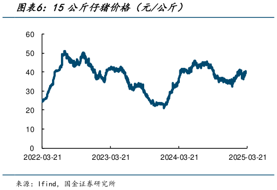 请问一下15公斤仔猪价格(元公斤)?