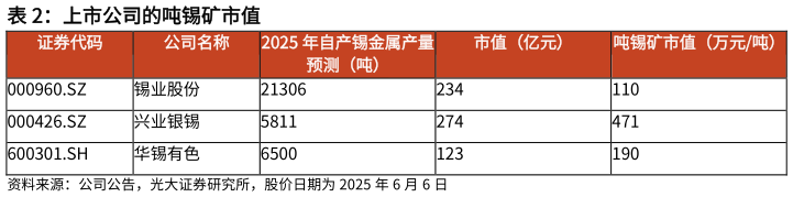 谁能回答上市公司的吨锡矿市值
