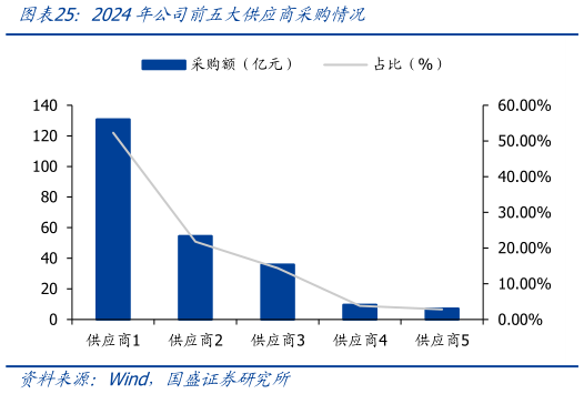 我想了解一下2024年公司前五大供应商采购情况