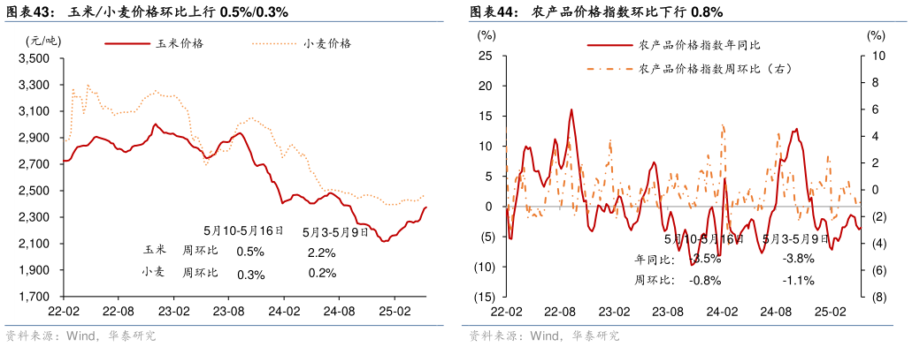 如何才能玉米小麦价格环比上行 0.5%0.3%?