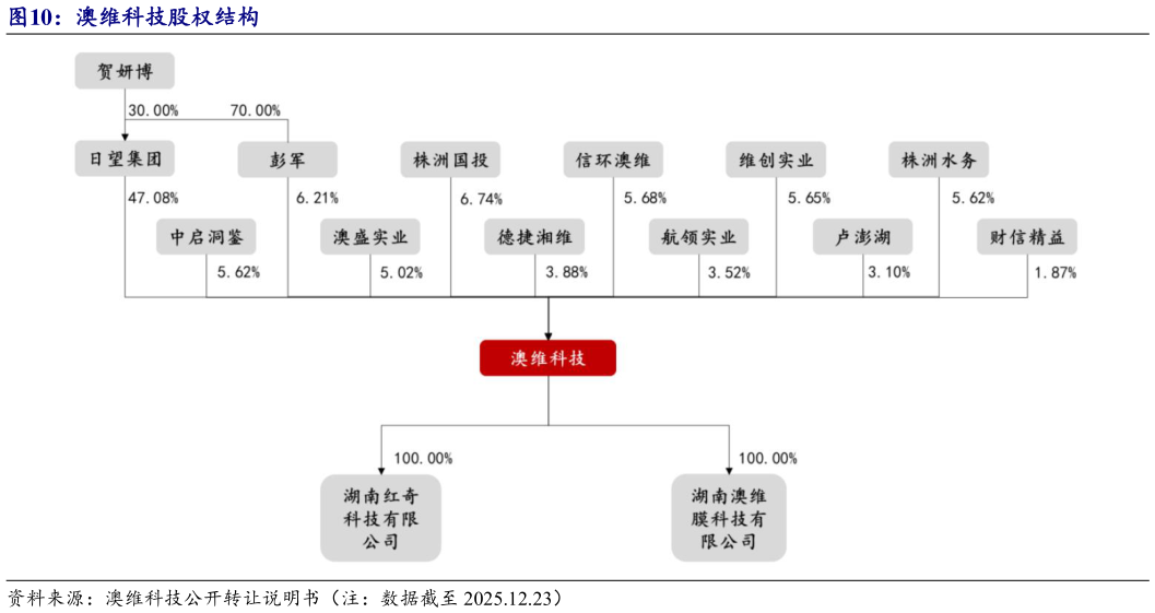 咨询大家澳维科技股权结构?