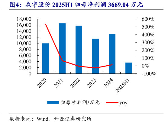 如何解释森宇股份 2025H1 归母净利润 3669.04 万元?