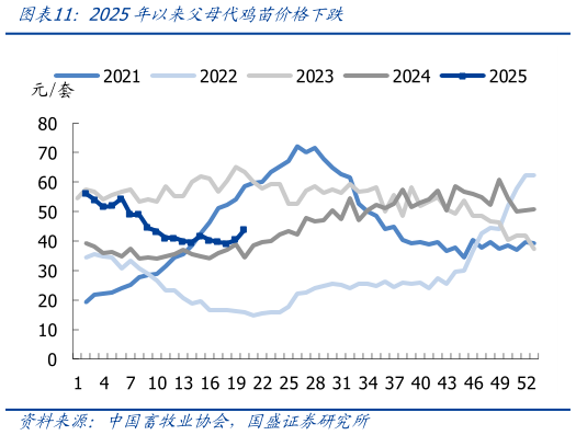 如何才能2025年以来父母代鸡苗价格下跌