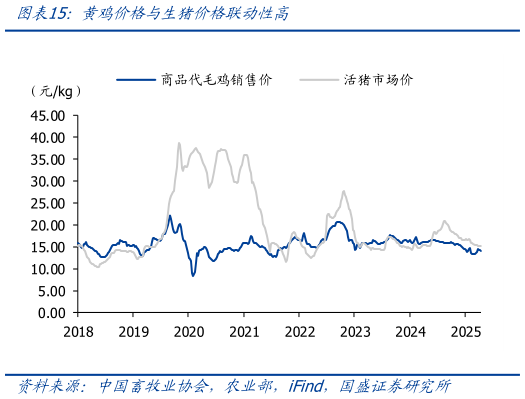 如何了解黄鸡价格与生猪价格联动性高