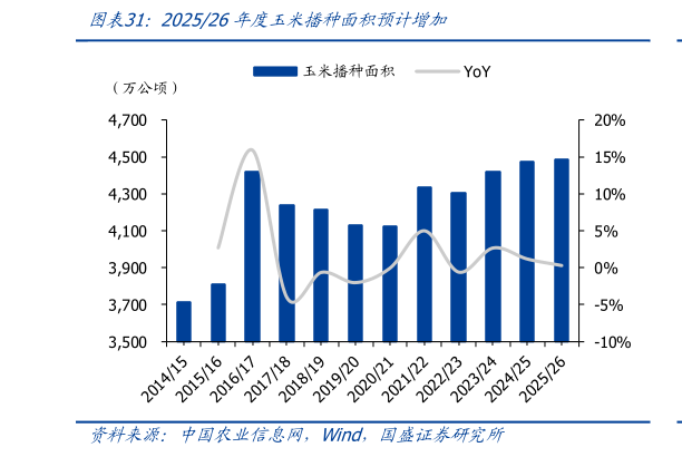如何看待202526年度玉米播种面积预计增加