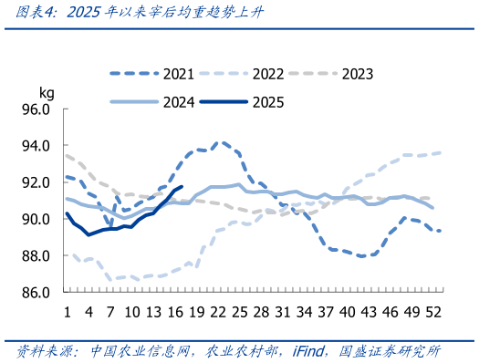 如何看待2025年以来宰后均重趋势上升