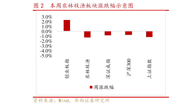 如何看待本周农林牧渔板块涨跌幅示意图?