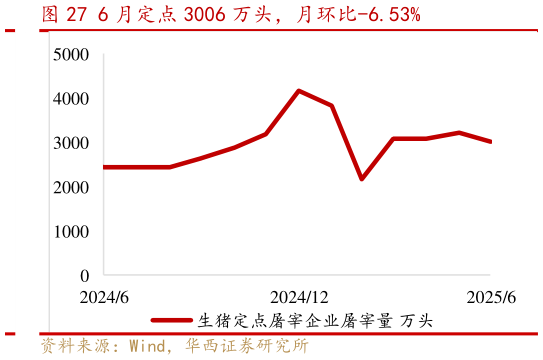 如何了解6 月定点 3006 万头，月环比-6.53%?