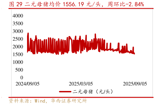如何解释二元母猪均价 1556.19 元头，周环比-2.84%?