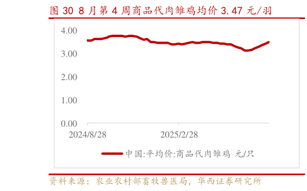 如何看待8 月第 4 周商品代肉雏鸡均价 3.47 元羽?