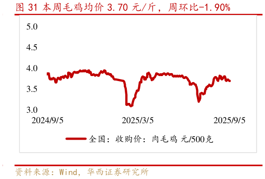 一起讨论下本周毛鸡均价 3.70 元斤，周环比-1.90%?