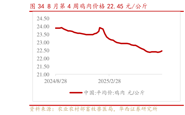 怎样理解8 月第 4 周鸡肉价格 22.45 元公斤?
