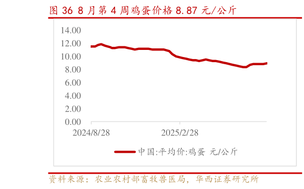 咨询大家8 月第 4 周鸡蛋价格 8.87 元公斤?