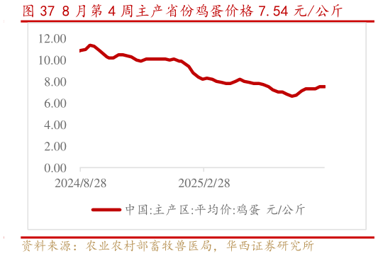 如何才能8 月第 4 周主产省份鸡蛋价格 7.54 元公斤?