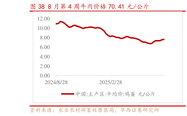 如何了解8 月第 4 周牛肉价格 70.41 元公斤?