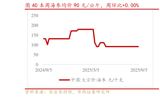 如何了解本周海参均价 90 元公斤，周环比0.00%?