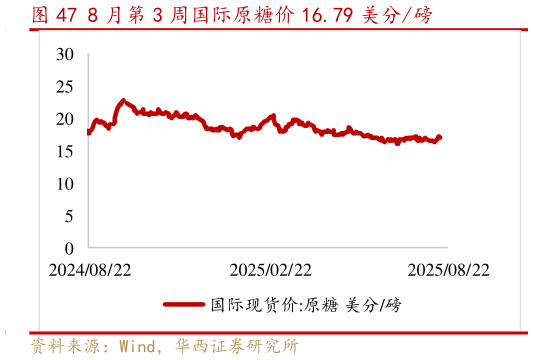 如何解释8 月第 3 周国际原糖价 16.79 美分磅?