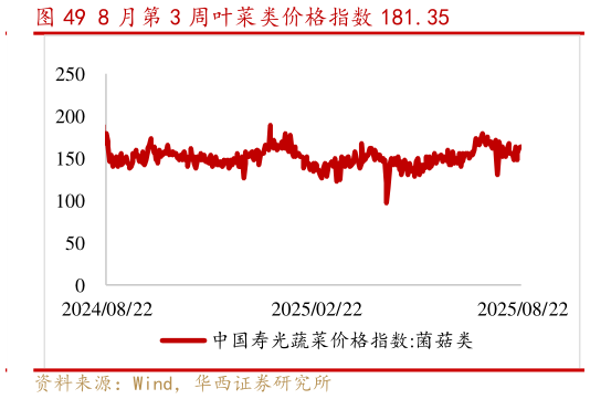 我想了解一下8 月第 3 周叶菜类价格指数 181.35?