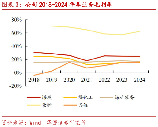 如何解释公司 2018-2024 年各业务毛利率