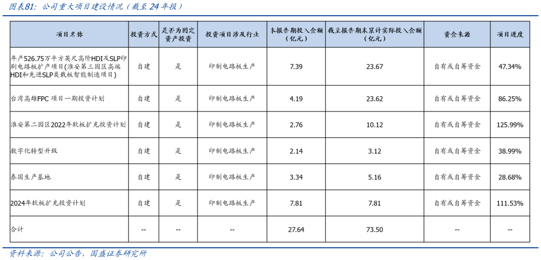 想关注一下公司重大项目建设情况（截至24年报）
