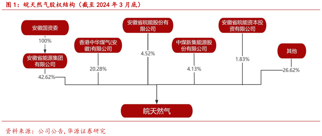 如何看待皖天然气股权结构（截至 2024 年 3 月底）